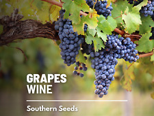 Grapes wine heirloom for sale  Frisco