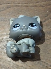 Petshop chat persan d'occasion  Pacy-sur-Eure