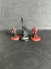 Warmachine protectorate menoth for sale  HAYLING ISLAND