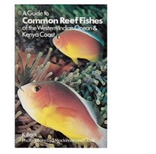 Guide common reef usato  Roma
