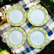 Royal doulton blueberry for sale  San Antonio