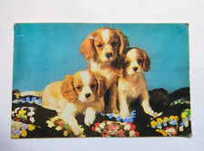 Vintage colour postcard for sale  BURY