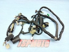 Cablaggio elettrico electric usato  Italia
