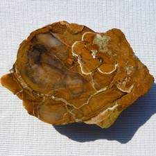 Rimrock 3.10 lbs for sale  Halfway
