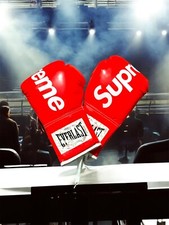 Luvas de boxe Supreme 14 oz CST* comprar usado  Enviando para Brazil