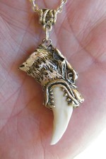 Tooth necklace growling for sale  Tucson
