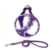 Doramio step dog for sale  BRISTOL