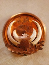 Wildschweinzähne wildschweinh gebraucht kaufen Wildschweinzähne wildschweinh gebraucht kaufen  Dresden