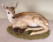 Beautiful deer fawn for sale  Shipping to Ireland