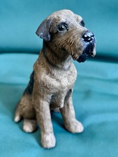 Airedale terrier dog for sale  CHICHESTER