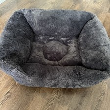 Pets home puppy for sale  BEVERLEY