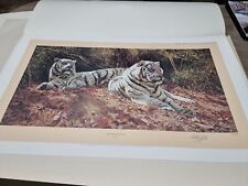 White tigers ever for sale  WIDNES