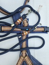 Tauleine leine tau gebraucht kaufen  Westerland