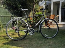 Ridgeback speed large for sale  LONDON