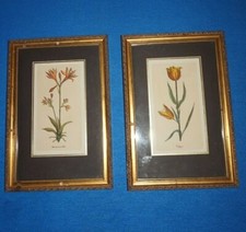 Lot vintage print for sale  Syracuse