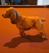 Cocker spaniel red for sale  Shoreham