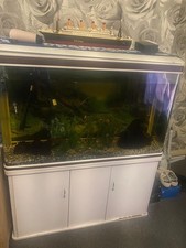 4ft fish tank for sale  BIRMINGHAM