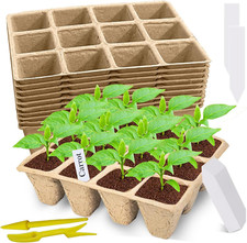 120 cells seed d'occasion  Expédié en France