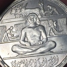Moneta coin egypt usato  San Bonifacio