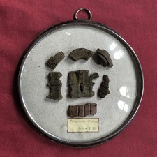 artillery shell for sale artillery shell for sale RYDE