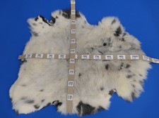 Echtes xxl schaffell gebraucht kaufen  Gladbeck