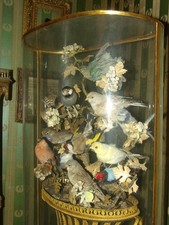 Grande composition musicale d'occasion  Limoges-