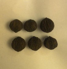 Black walnuts shell for sale  Fremont