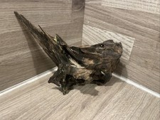 Fish tank aquarium for sale  ROCHDALE