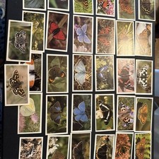 Grandee cigarette cards for sale  SOUTHAMPTON