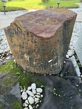 Petrified wood stump. for sale  Saint Petersburg