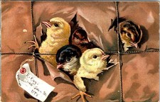 1909 tuck easter for sale  Tempe