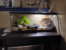 Turtle aquarium tank for sale  Monticello