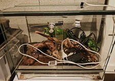 Lot terrarium vitre d'occasion  Besançon