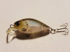 Lucky craft medium for sale  Athens