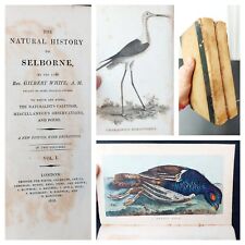 1813 natural history for sale  MAIDENHEAD