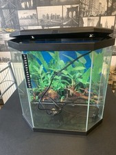 Ciano aqua fish for sale  MANCHESTER