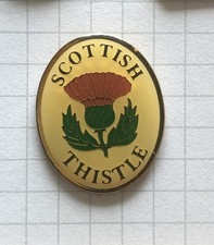 thistle gebraucht kaufen  Witten