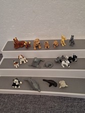 animal hospital for sale  RUGBY