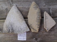 Kalksandstein einlagerungen fr gebraucht kaufen  München