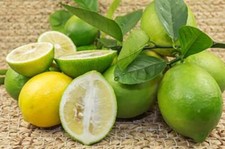 Limoni maturi sicilia usato  Stromboli