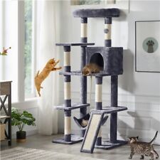 63in cat tree for sale  USA