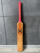 Woodworm pioneer torch for sale  LEEDS
