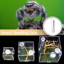 Springspinne lebensraum brutbo gebraucht kaufen  Versand nach Germany