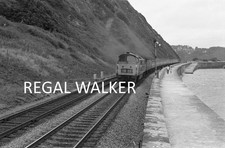 dawlish for sale dawlish for sale EXETER