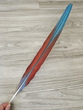 Feder papageienfeder ara gebraucht kaufen  Haarbach
