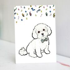 Biglietto compleanno maltipoo usato  Spedire a Italy