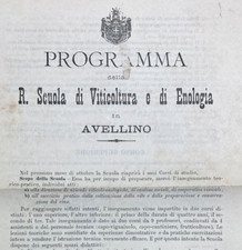 Viticoltura enologia avellino usato  Italia