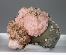 Rhodochrosit mina potosi gebraucht kaufen  Siegen