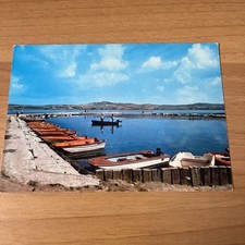 Cartolina colori vintage usato  Bari