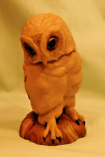 Teviotdale young owl for sale  PICKERING